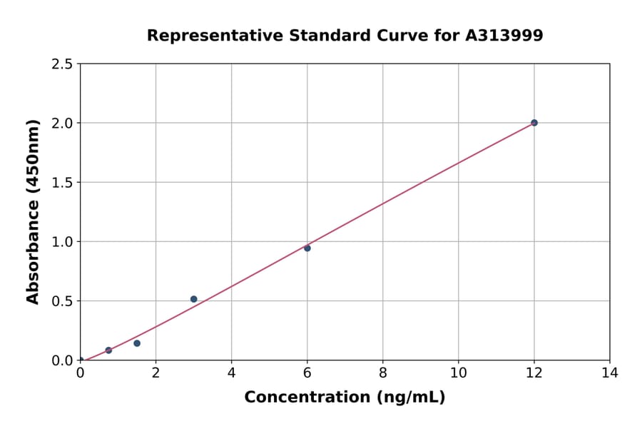 Standard Curve - Mouse Stum ELISA Kit (A313999) - Antibodies.com