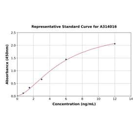 Standard Curve - Human LAMP1 ELISA Kit (A314016) - Antibodies.com
