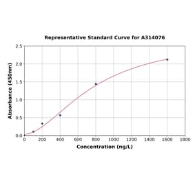 Standard Curve - Human KCC2 ELISA Kit (A314076) - Antibodies.com