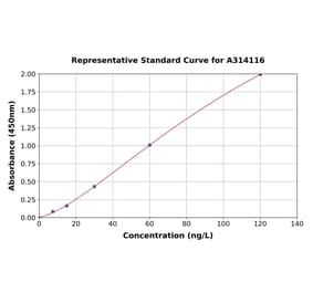 Standard Curve - Human IL-32 ELISA Kit (A314116) - Antibodies.com