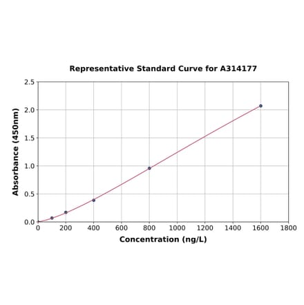 Standard Curve - Human Bim ELISA Kit (A314177) - Antibodies.com