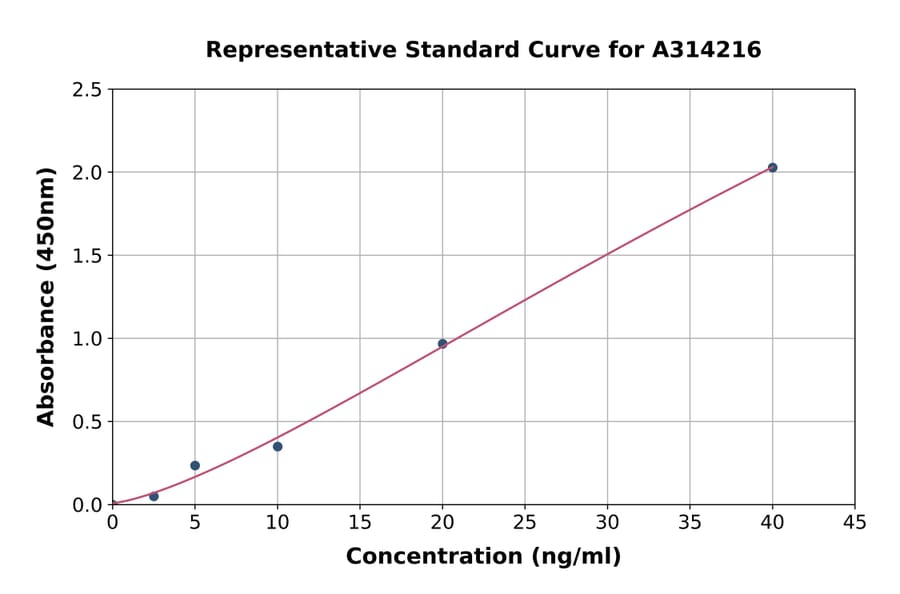Standard Curve - Human CAPN7 ELISA Kit (A314216) - Antibodies.com