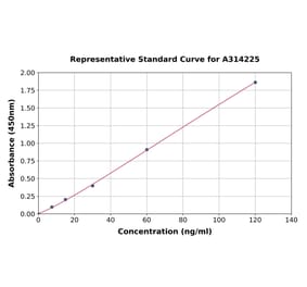 Standard Curve - Human Cyclophilin A ELISA Kit (A314225) - Antibodies.com