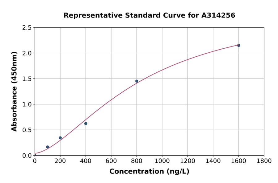 Standard Curve - Human Prostaglandin E Synthase / MPGES-1 ELISA Kit (A314256) - Antibodies.com