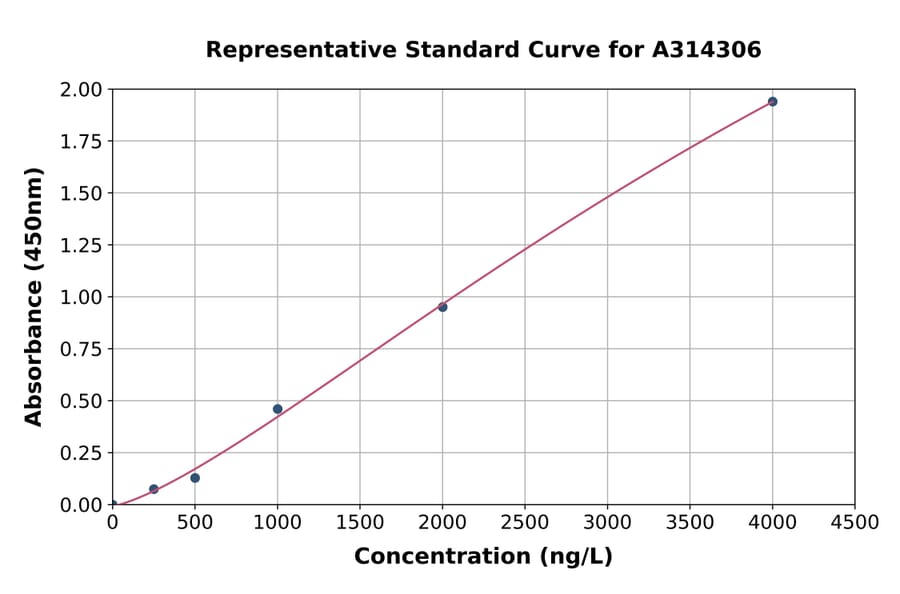 Standard Curve - Mouse DCAMKL1 ELISA Kit (A314306) - Antibodies.com