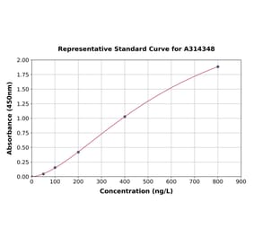 Standard Curve - Human ROR gamma ELISA Kit (A314348) - Antibodies.com