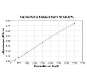 Standard Curve - Mouse PARP2 ELISA Kit (A314371) - Antibodies.com
