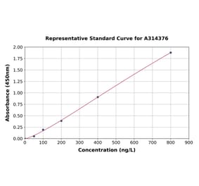 Standard Curve - Mouse Sct ELISA Kit (A314376) - Antibodies.com