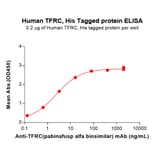 ELISA - Recombinant Human Transferrin Receptor Protein (6×His Tag) (A317269) - Antibodies.com