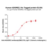 ELISA - Recombinant Human EMR2 Protein (7×His Tag) (A317272) - Antibodies.com