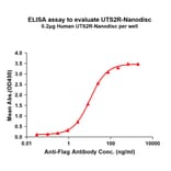 ELISA - Synthetic Nanodisc Human GPCR GPR14 Protein (A317295) - Antibodies.com