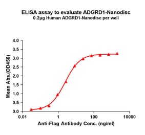 ELISA - Synthetic Nanodisc Human GPR133 Protein (A317303) - Antibodies.com