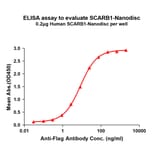 ELISA - Synthetic Nanodisc Human Scavenging Receptor SR-BI Protein (A317317) - Antibodies.com