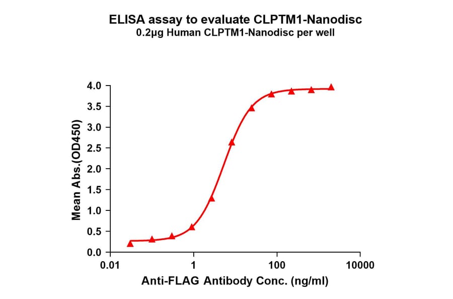 ELISA - Synthetic Nanodisc Human CLPTM1 Protein (A317319) - Antibodies.com