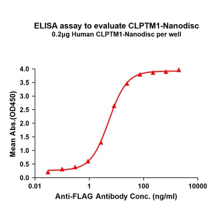 ELISA - Synthetic Nanodisc Human CLPTM1 Protein (A317319) - Antibodies.com