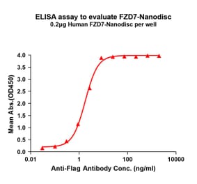 ELISA - Synthetic Nanodisc Human Frizzled 7 Protein (A317320) - Antibodies.com