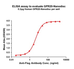 ELISA - Synthetic Nanodisc Human GPCR GPR20 Protein (A317321) - Antibodies.com