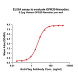 ELISA - Synthetic Nanodisc Human GPCR GPR20 Protein (A317321) - Antibodies.com
