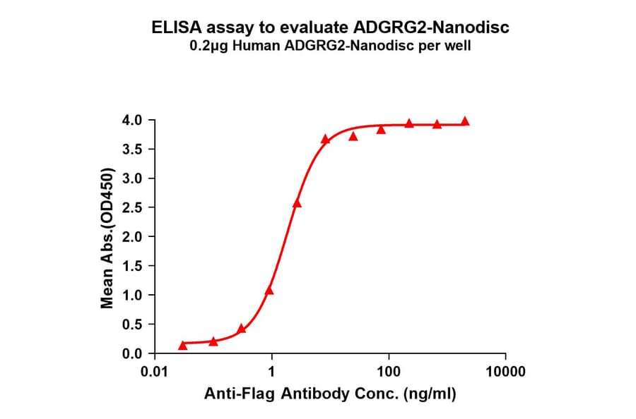 ELISA - Synthetic Nanodisc Human GPCR GPR64 Protein (A317322) - Antibodies.com