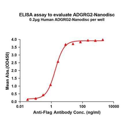 ELISA - Synthetic Nanodisc Human GPCR GPR64 Protein (A317322) - Antibodies.com