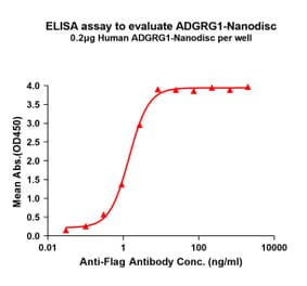 ELISA - Synthetic Nanodisc Human GPR56 Protein (A317324) - Antibodies.com