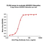 ELISA - Synthetic Nanodisc Human GPR56 Protein (A317324) - Antibodies.com