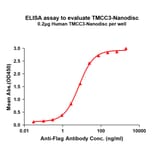 ELISA - Synthetic Nanodisc Human TMCC3 Protein (A317327) - Antibodies.com