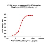 ELISA - Synthetic Nanodisc Human GPCR RDC1/CXCR-7 Protein (A317332) - Antibodies.com