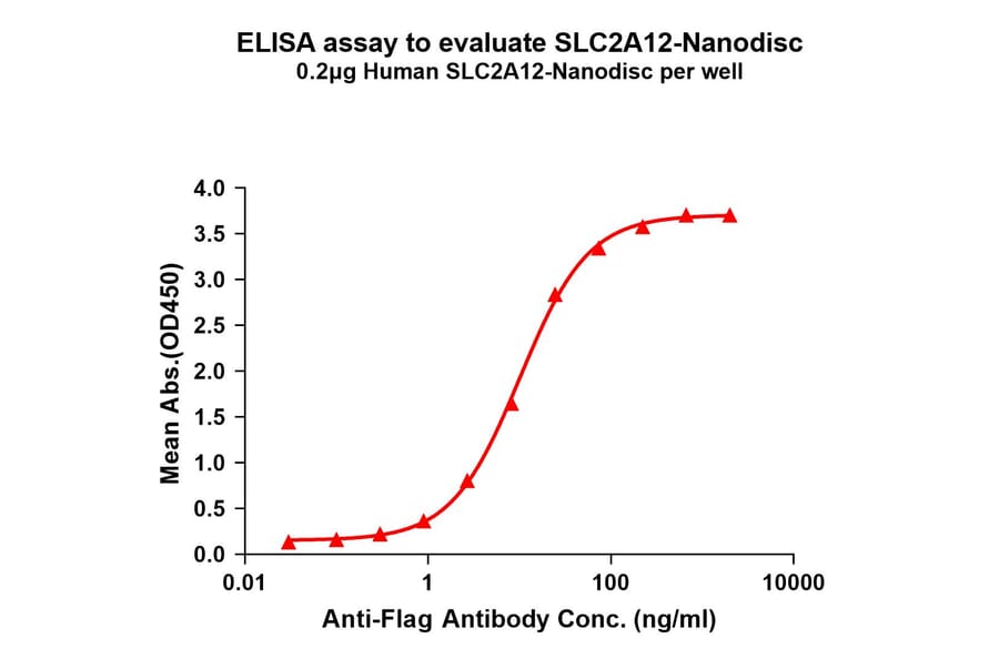 ELISA - Synthetic Nanodisc Human GLUT12 Protein (A317339) - Antibodies.com
