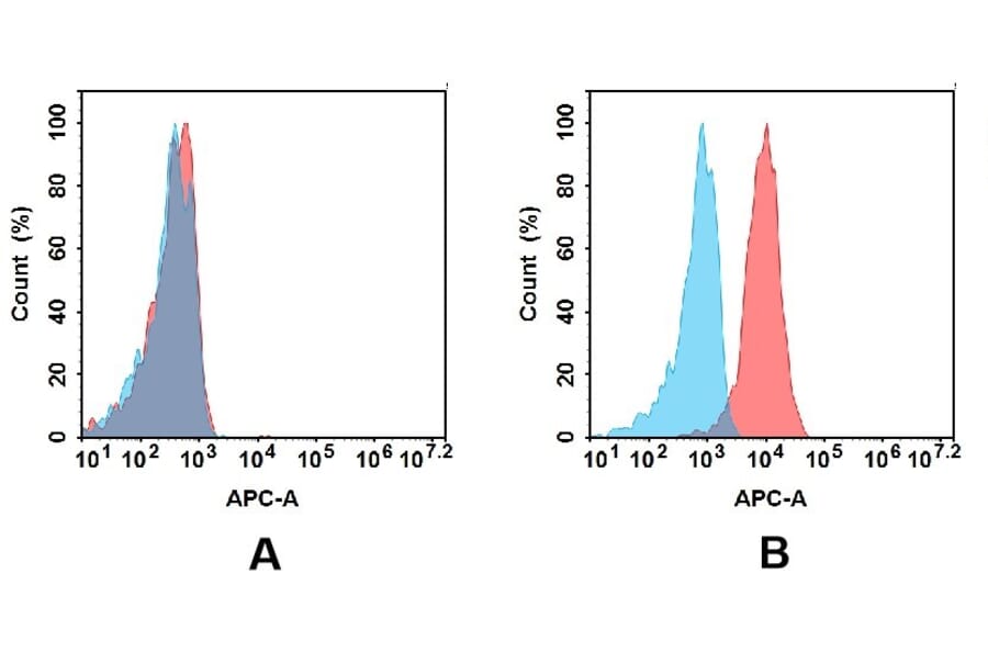 Flow Cytometry - Anti-CD30 Antibody [DM104] - BSA and Azide free (A317355) - Antibodies.com