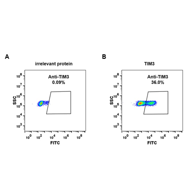 Flow Cytometry - Anti-TIM 3 Antibody [DM82] - BSA and Azide free (A317376) - Antibodies.com