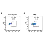 Flow Cytometry - Anti-TIM 3 Antibody [DM82] - BSA and Azide free (A317376) - Antibodies.com