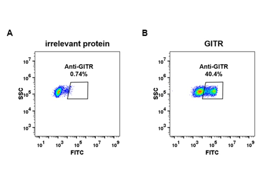 Flow Cytometry - Anti-GITR Antibody [DM78] - BSA and Azide free (A317382) - Antibodies.com