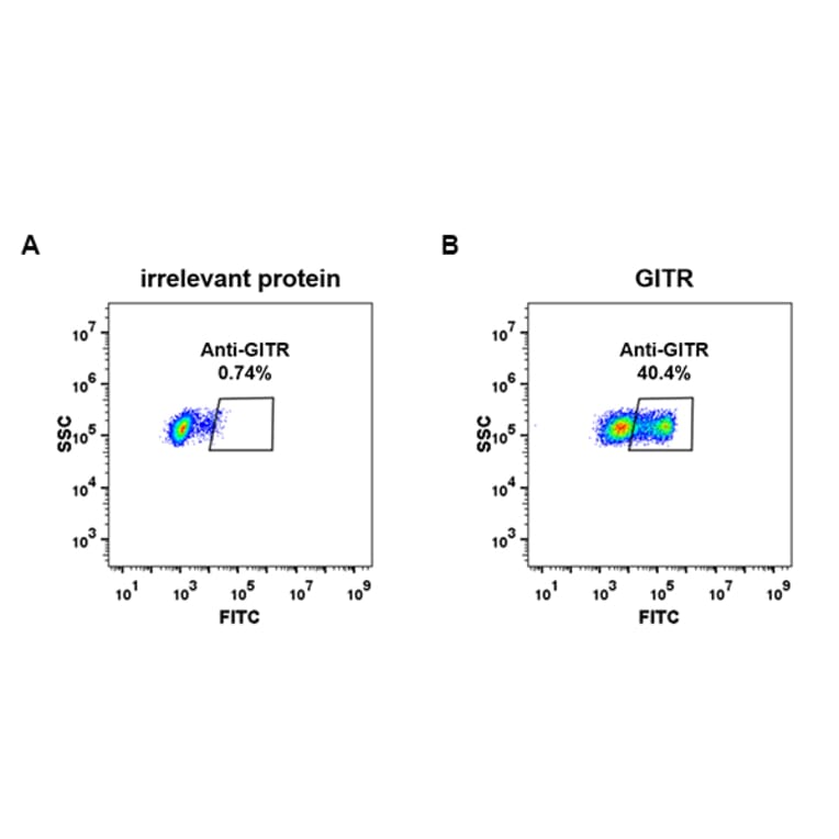 Flow Cytometry - Anti-GITR Antibody [DM78] - BSA and Azide free (A317382) - Antibodies.com