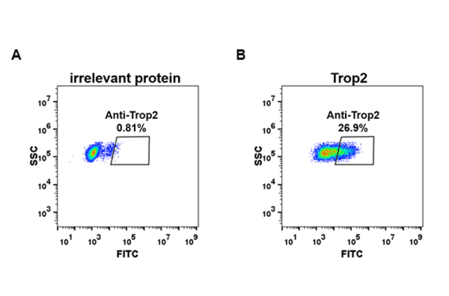 Flow Cytometry - Anti-TROP2 Antibody [DM75] - Azide free (A317386) - Antibodies.com