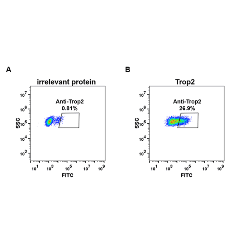 Flow Cytometry - Anti-TROP2 Antibody [DM75] - Azide free (A317386) - Antibodies.com