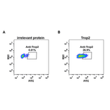 Flow Cytometry - Anti-TROP2 Antibody [DM75] - Azide free (A317386) - Antibodies.com