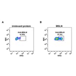 Flow Cytometry - Anti-Mesothelin Antibody [DM73] - BSA and Azide free (A317389) - Antibodies.com