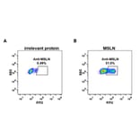 Flow Cytometry - Anti-Mesothelin Antibody [DM71] - BSA and Azide free (A317392) - Antibodies.com