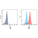 Flow Cytometry - Anti-Mesothelin Antibody [DM71] - BSA and Azide free (A317392) - Antibodies.com