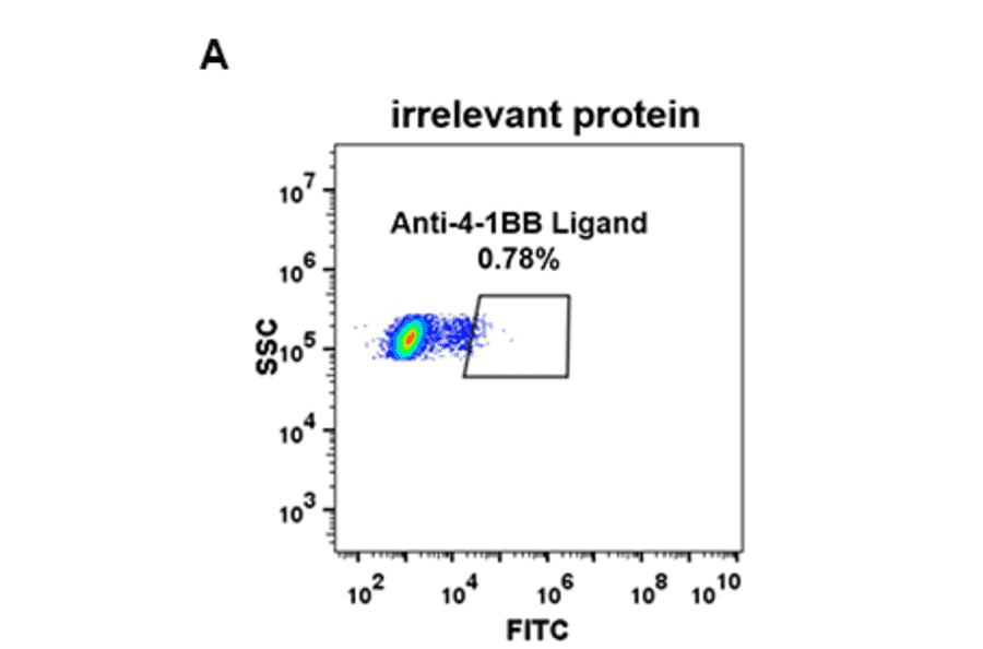 Flow Cytometry - Anti-4-1BBL Antibody [DM68] - Azide free (A317397) - Antibodies.com