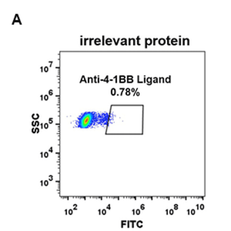 Flow Cytometry - Anti-4-1BBL Antibody [DM68] - Azide free (A317397) - Antibodies.com