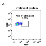 Flow Cytometry - Anti-4-1BBL Antibody [DM68] - Azide free (A317397) - Antibodies.com