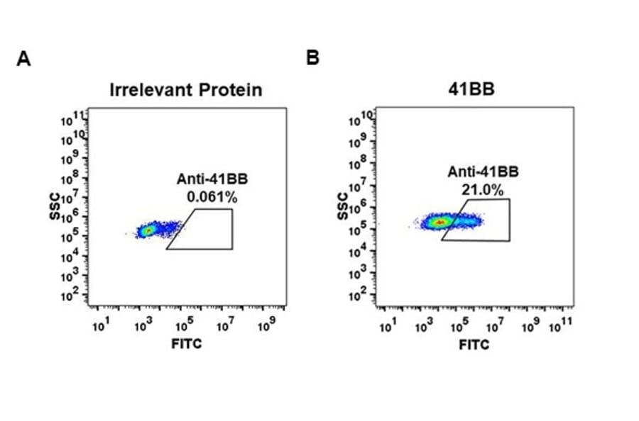 Flow Cytometry - Anti-CD137 Antibody [DM66] - Azide free (A317400) - Antibodies.com
