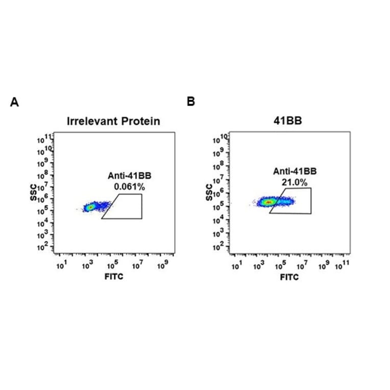 Flow Cytometry - Anti-CD137 Antibody [DM66] - Azide free (A317400) - Antibodies.com