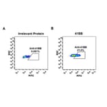 Flow Cytometry - Anti-CD137 Antibody [DM66] - Azide free (A317400) - Antibodies.com