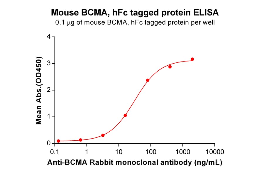 ELISA - Recombinant Mouse BCMA Protein (Fc Tag) (A317539) - Antibodies.com