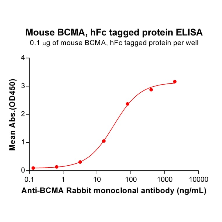ELISA - Recombinant Mouse BCMA Protein (Fc Tag) (A317539) - Antibodies.com