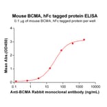 ELISA - Recombinant Mouse BCMA Protein (Fc Tag) (A317539) - Antibodies.com