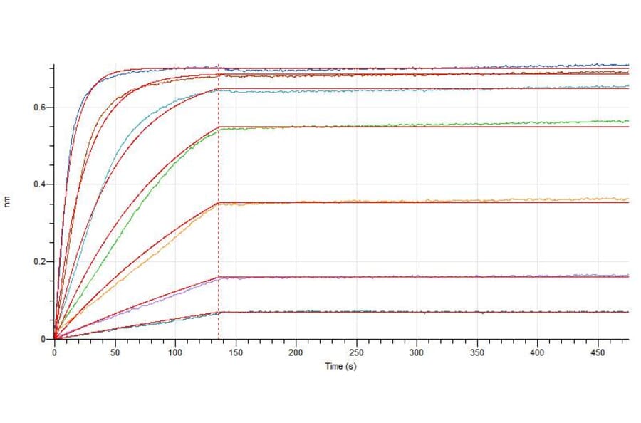 BLI Assay - Recombinant Human IL-4 Protein (Fc Tag) (A317575) - Antibodies.com
